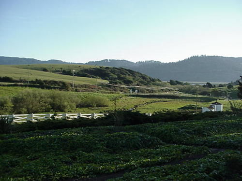 Point Reyes Vineyard Inn Калифорния Сити Экстерьер фото
