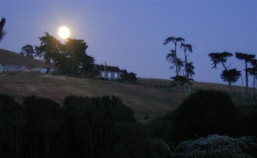 Point Reyes Vineyard Inn Калифорния Сити Экстерьер фото