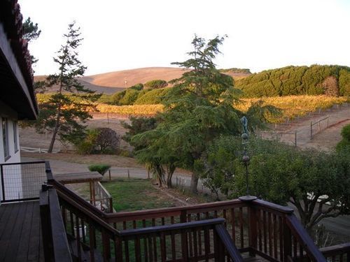 Point Reyes Vineyard Inn Калифорния Сити Экстерьер фото