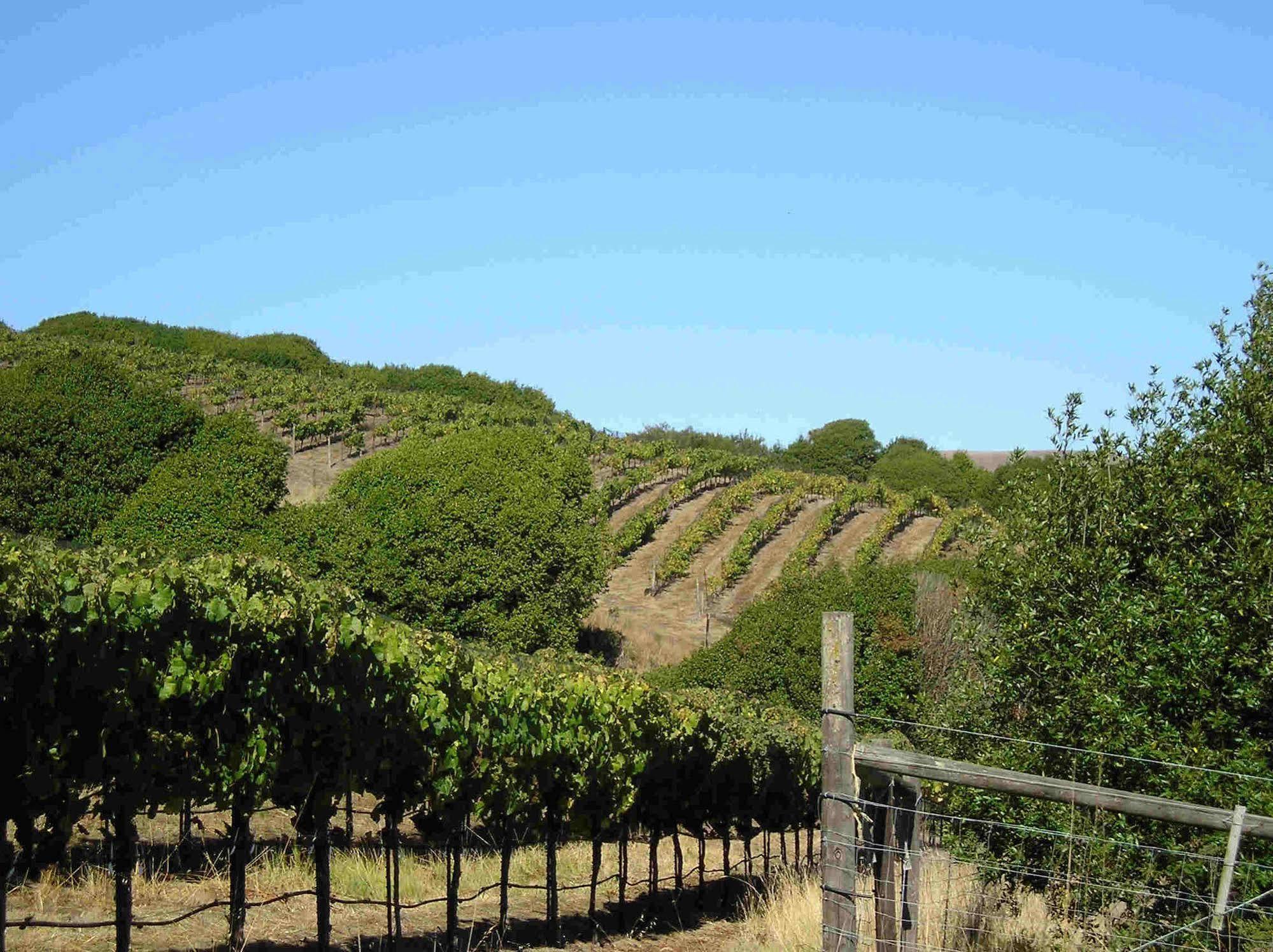 Point Reyes Vineyard Inn Калифорния Сити Экстерьер фото